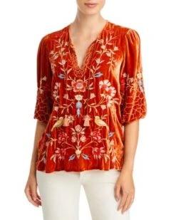 Clara Velvet Embroidered Blouse - Johnny Was